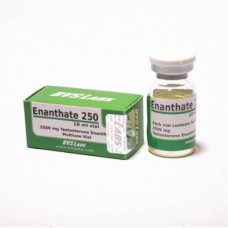 Bvs Labs Testosteron Enanthate 250mg 10ml